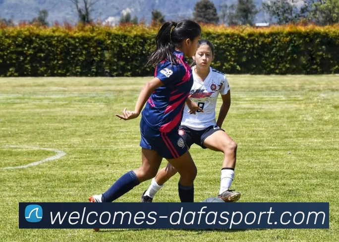 大发集团品牌故事