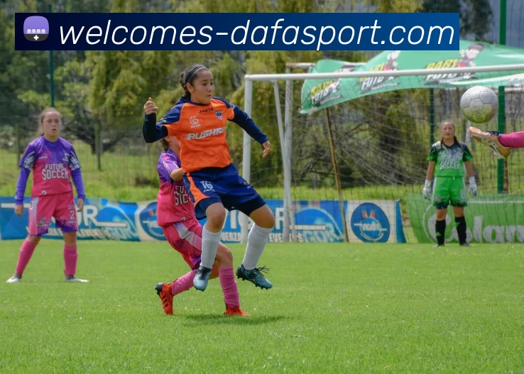 大发集团服务体系